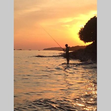 Viva 1 Rovinj 아파트 외부 사진