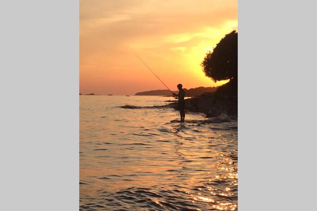 Viva 1 Rovinj 아파트 외부 사진