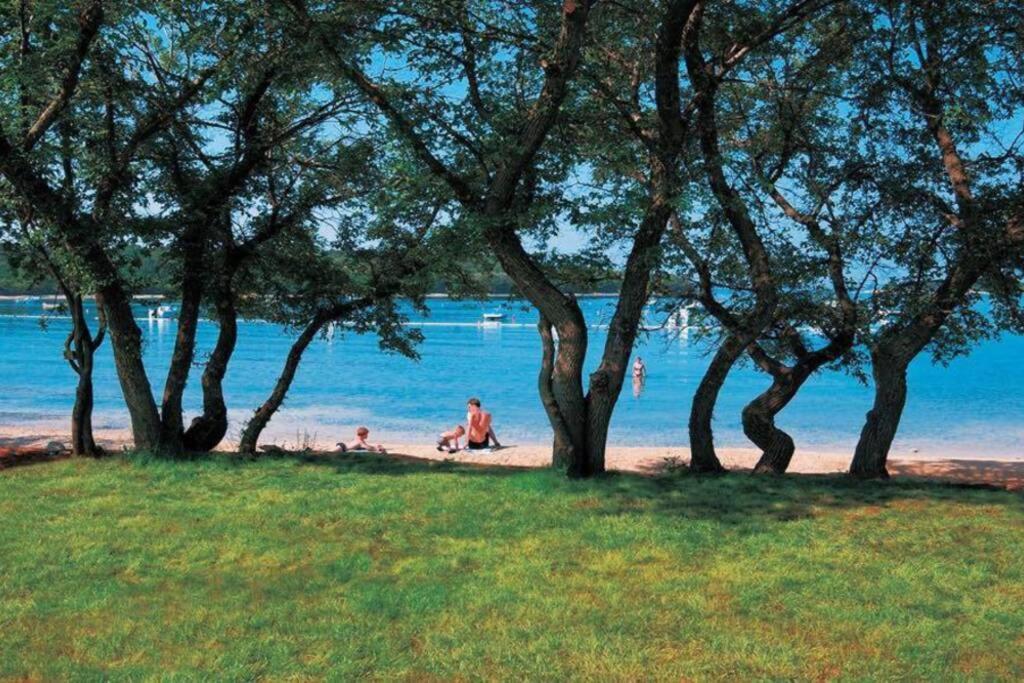 Viva 1 Rovinj 아파트 외부 사진